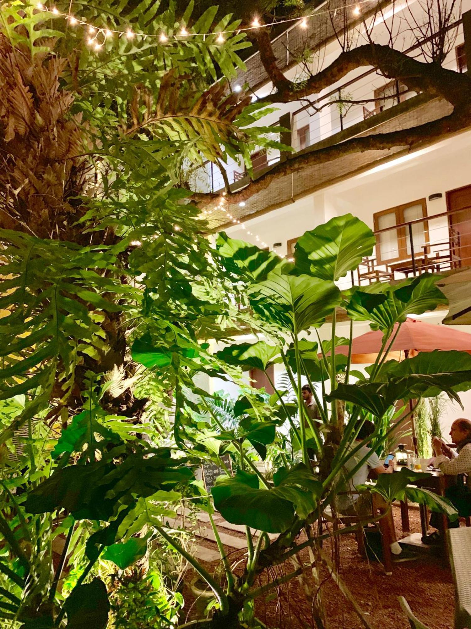 Hotel Sayura House Kolombo Zewnętrze zdjęcie
